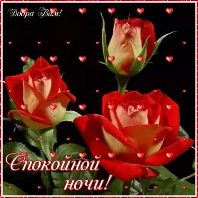 сновымгодом #2024 #видео #поздравление #сестренке #душевно #отдуши #п... |  TikTok