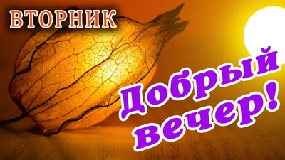 Пожелания доброго вечера вторника! | Открытки, Пейзажи, Картинки