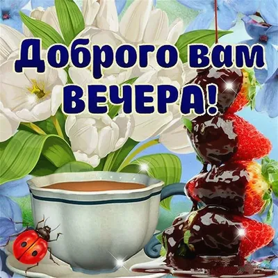 Добрый зимний вечер вторника! | Картинки, Открытки, Вторник