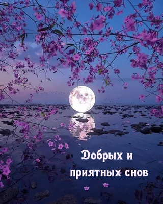 🎶💗 Очень красивое оригинальное пожелание СПОКОЙНОЙ НОЧИ! 🎶💗Желаю тебе  самых добрых снов! - YouTube