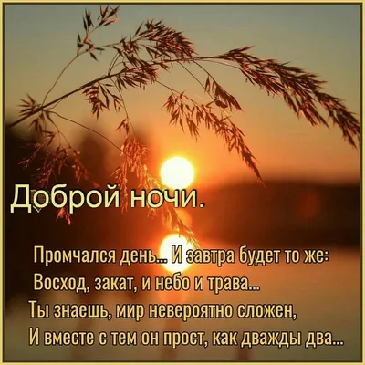 Картинка с пожеланием прекрасных и добрых снов - поздравляйте бесплатно на  otkritochka.net