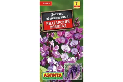 Семена АЭЛИТА Долихос Ниагарский водопад 00-00586791 - выгодная цена,  отзывы, характеристики, фото - купить в Москве и РФ