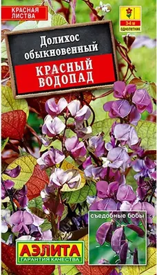 Семена Долихос Красный водопад - купить по выгодной цене | Урожайка