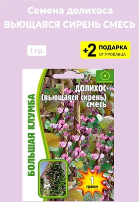 Семена цветов Долихос \"Руби мун\" купить по цене 59 ₽ в интернет-магазине  KazanExpress