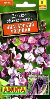 Семена Долихос пурпурный (W. Legutko), 1 г, РБ 2024 купить по цене 1.03 р.  - 11 магазинов в Минске
