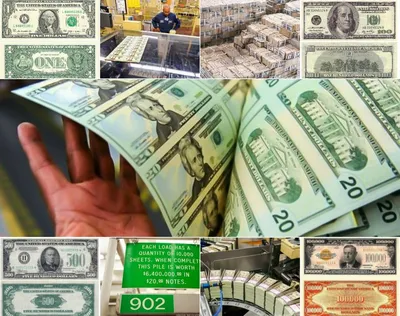 Рука Деньги - Доллар США (USD) Банкноты Фотография, картинки, изображения и  сток-фотография без роялти. Image 29965819
