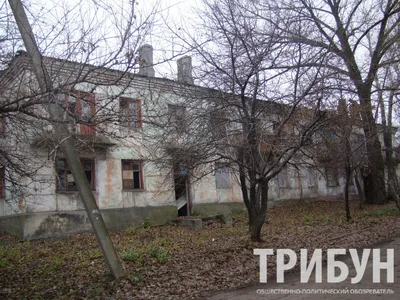 Одноэтажный дом без крыши :) На объекте Борисово 2 готовы стены | Андрей  Шанс - УШП фундаменты и строительство домов | Дзен
