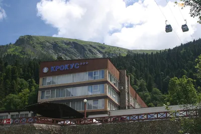 гостиница Крокус | Домбай: отели и гостиницы Домбая | Портал DOMBAY-SKI.RU  официальный сайт