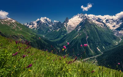 Сезоны на Домбае: весна, лето, осень и зима | Туры в горы Кавказа