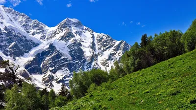 Климат Домбая зимой, весной, осенью и летом.