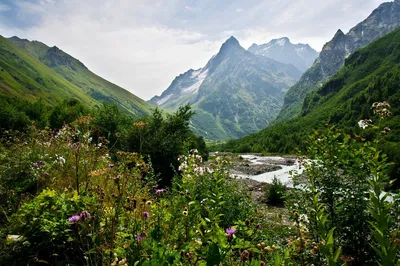 Пеший тур на Кавказе «Домбай и его окрестности» — тур от ADVENTURE GUIDE