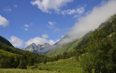 Туры на Домбай 2023 — пешие, конные, экскурсионные, на джипах | Туры в горы  Кавказа