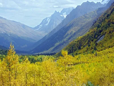 Отдых осенью в Домбае | Туры на Домбай в Сентябре и Октябре 2023 | Туры в  горы Кавказа