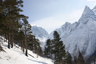 Домбай зимой: отдых, что посмотреть, куда сходить, чем заняться — Яндекс  Путешествия