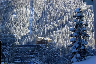 Чем заняться на Домбае зимой: горнолыжный курорт, трассы и спуски, цены и  ски-пассы, где находится курортный посёлок — Яндекс Путешествия
