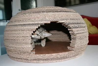 Домик для кошки своими руками из коробки - фото JPG формата для скачивания
