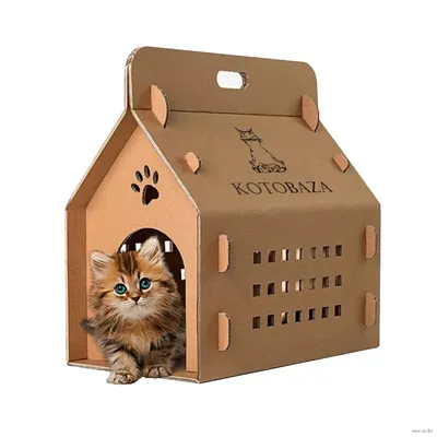 Создайте комфортное жилье для вашей кошки - изображение домика