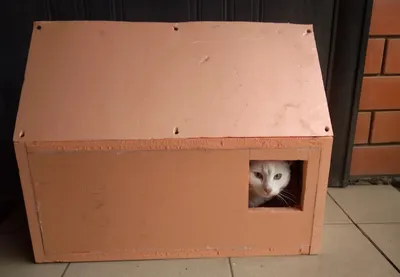 Простота и тепло - фото домика для кошки