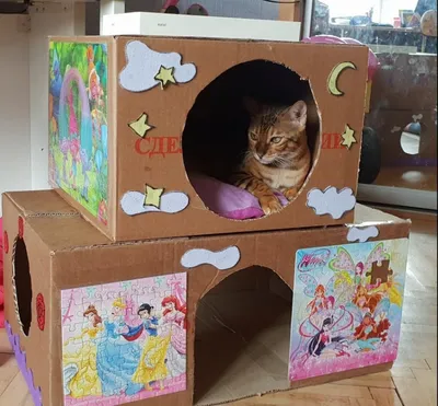 Фото домика для кошки со сменными обоями