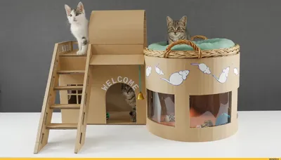 Фотография домика для кошки в стильных обоинах