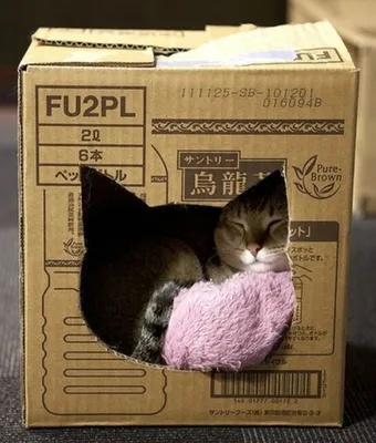 Домик для кошки своими руками из коробки в формате WEBP с возможностью скачать бесплатно