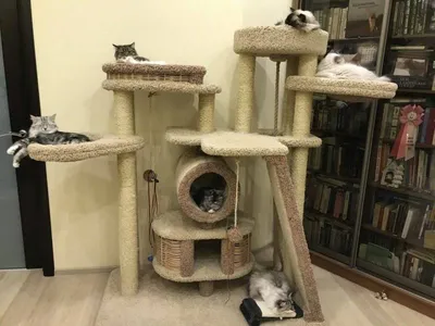 Самый уютный домик для кошки - изображение