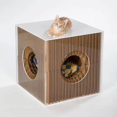 Фото домика для кошки своими руками из коробки с возможностью скачивания в хорошем разрешении
