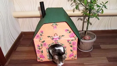 Скачать бесплатно фото домика для кошки своими руками в формате JPG