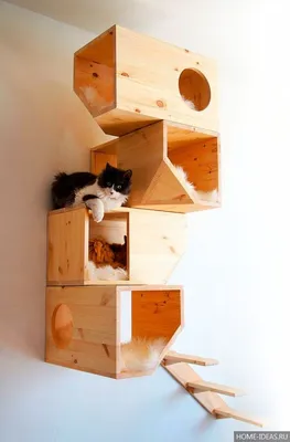 Актуальные фото домика для кошки своими руками из коробки