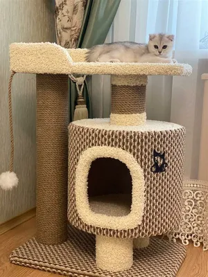 Домик для кошки фотографии