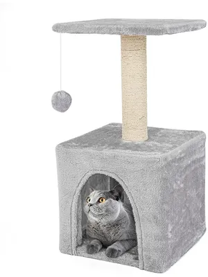 Фотография домика для кошки для истинных ценителей