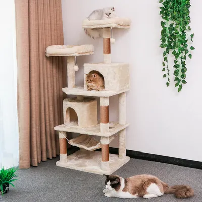 Идеальный домик для кошки на фото