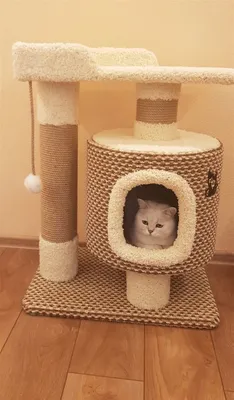 Уютный домик для кошки размером 1200x800