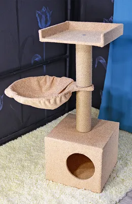 Изображение домика для кошки - прекрасный выбор для фона
