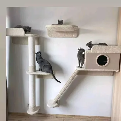 Фотография домика для кошки, идеальная для печати