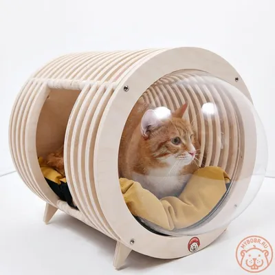 Домик для кошки на изображении для создания атмосферы