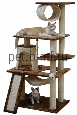 Фото домика для кошки в формате png