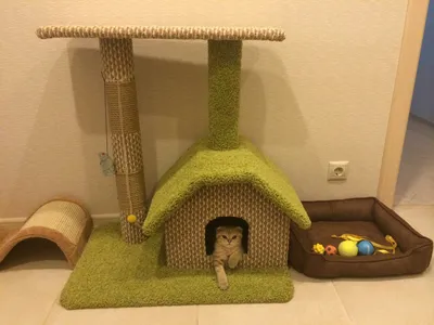 Фото домика для кошки в высоком разрешении