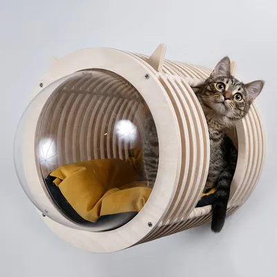 Элегантный домик для кошки на красивой картинке