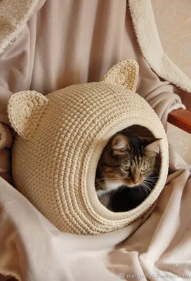 Изображение домика для кошки для создания уютной атмосферы