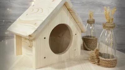 Домик для Шиншиллы своими руками DIY | How to make a house for a  chinchilla. - YouTube