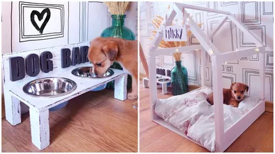 DIY 🐕 ДОМИК ДЛЯ СОБАКИ И DOG BAR 🏠 КАК СДЕЛАТЬ ЛЕЖАК ДЛЯ СОБАКИ 🐾  ПОДСТАВКА ПОД МИСКИ СВОИМИ РУКАМИ - YouTube