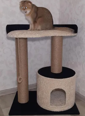 Кошачье убежище: изображение домика когтеточки для кошки для скачивания