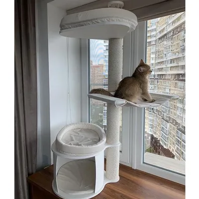 Домик когтеточка для кошки: скачать фоновое изображение в формате png