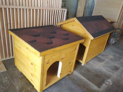 Домик для собак и кошек, лежанка Dogland 37х36х39 см - купить с доставкой  по выгодным ценам в интернет-магазине OZON (228158498)