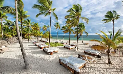 10 лучших пляжей Доминиканы 2024 ☀️ Фото, описание, туры