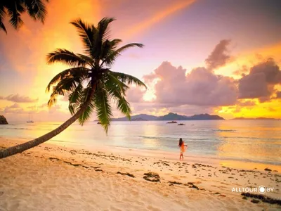 Выбираем свой пляж в Доминикане | Туры во все страны по лучшим ценам, Туры  в Египет, Туры в Турцию,Цены на путевки