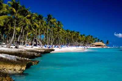 Доминикана фото пляжей фотографии
