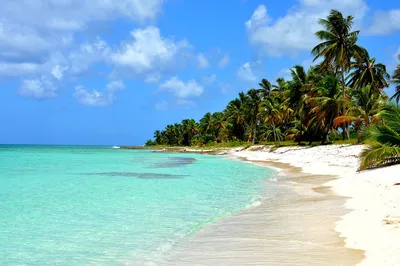 Доминикана. Баунти и другие пляжи, где вас ждет райское наслаждение