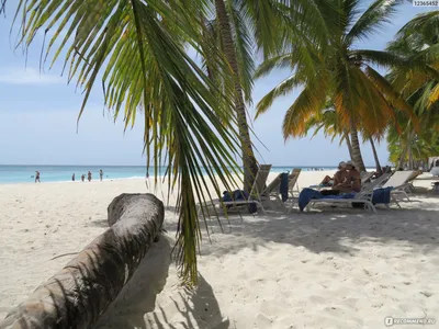 Доминикана ч.4 Пляж и Атлантический океан - YouTube